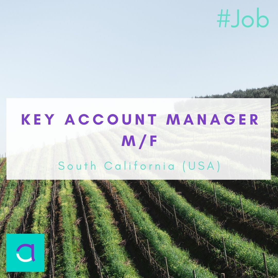 Key Account Manager - Questel