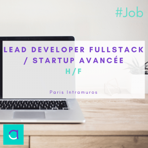 Lead developer Fullstack