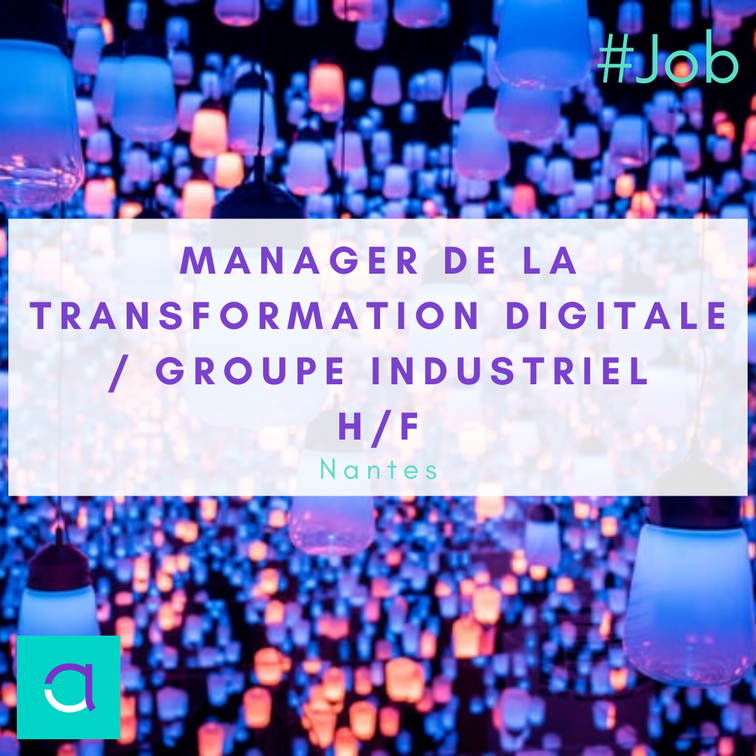 Manager de la Transformation Digitale