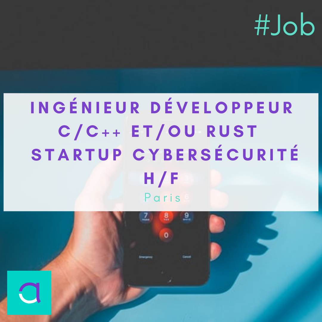 Ingénieur Développeur