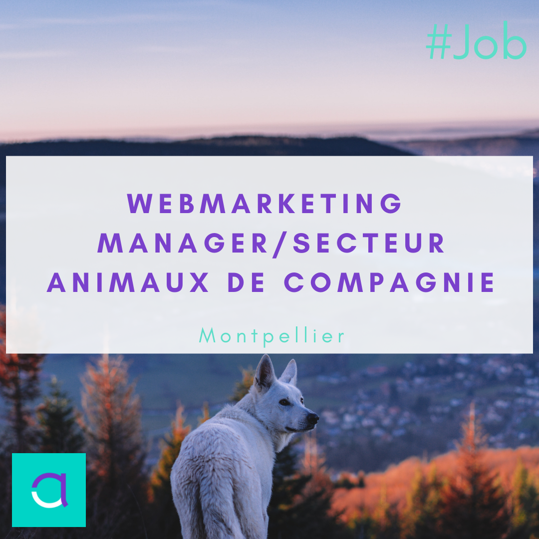 Webmarketing Manager / Secteur Animaux de Compagnie