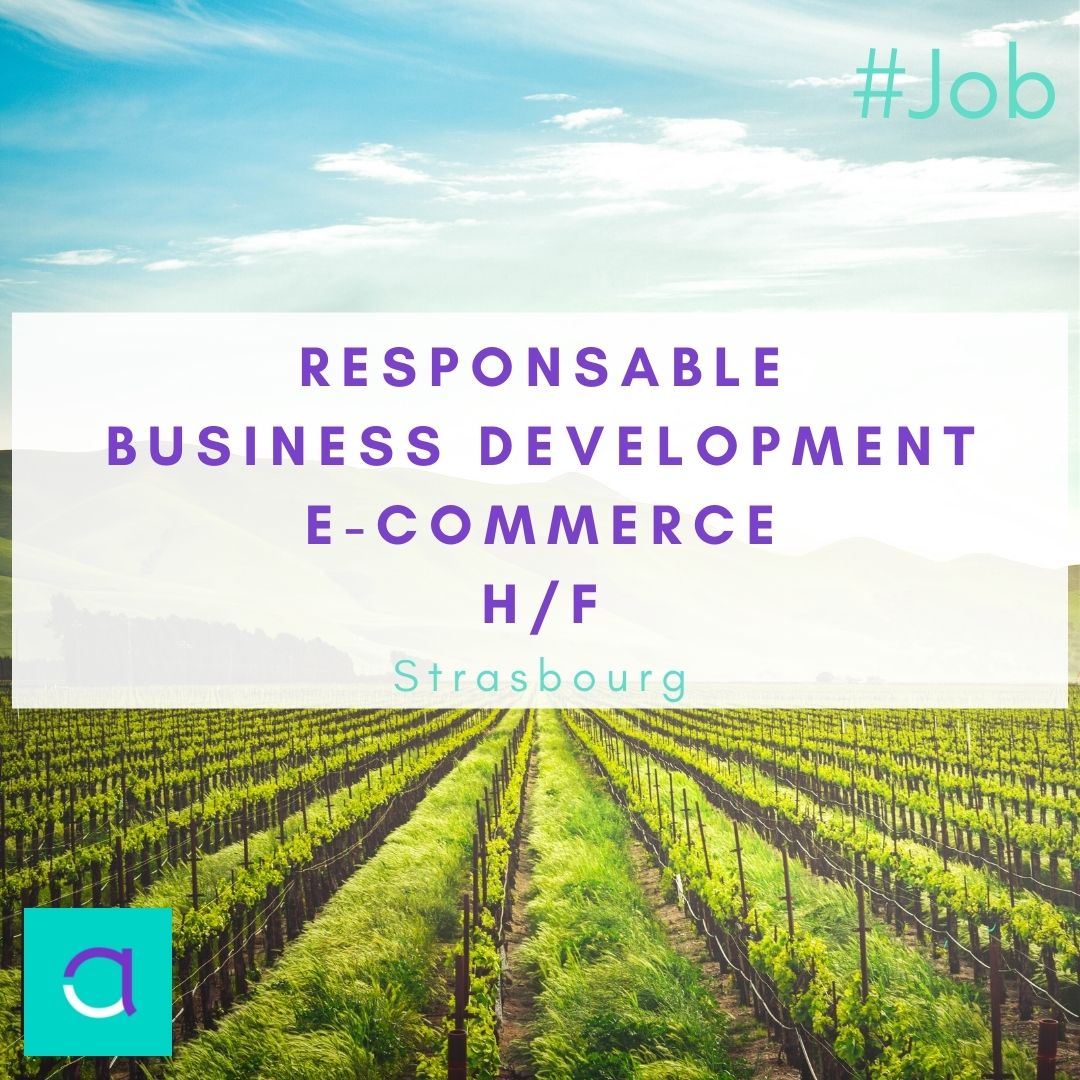 Offre d'emploi : Responsable Business Development / E-Commerce