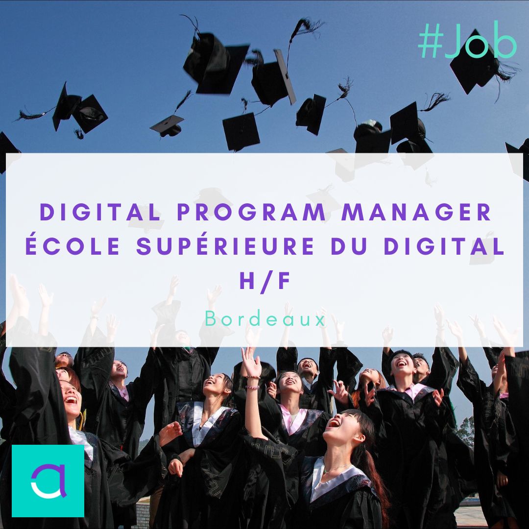 Emploi Digital Program Manager