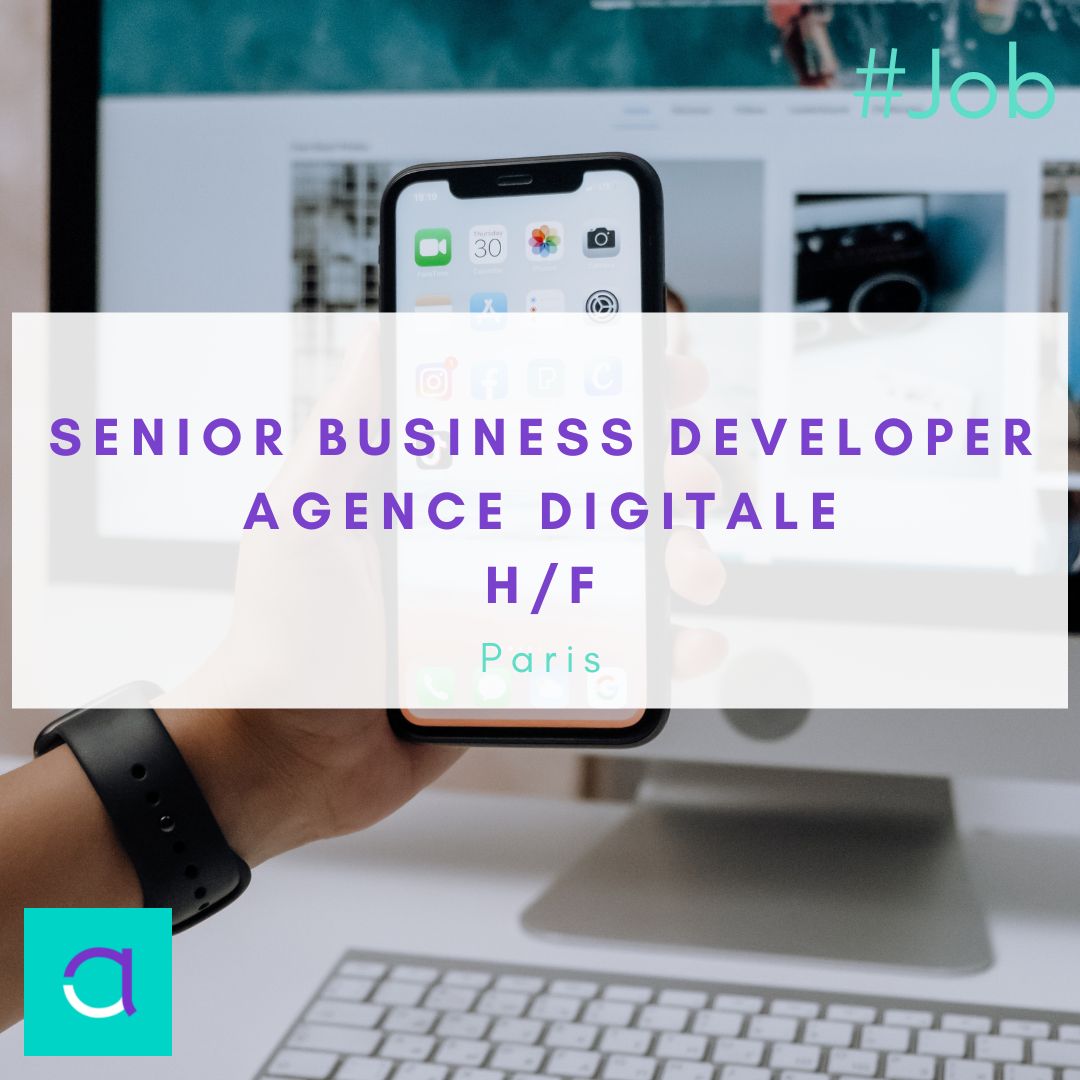 Emploi Senior Business Developer