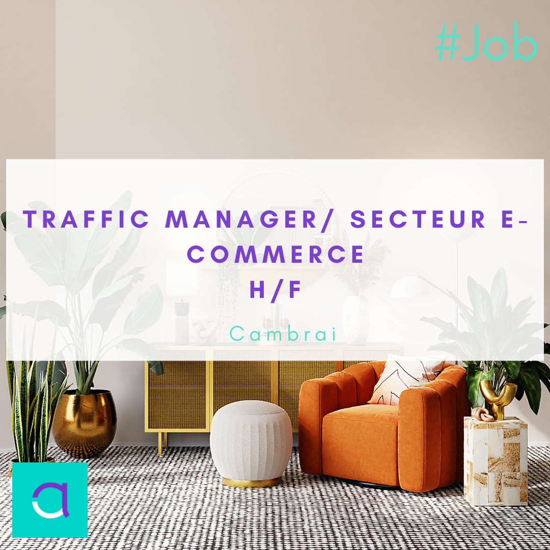 Emploi Traffic Manager