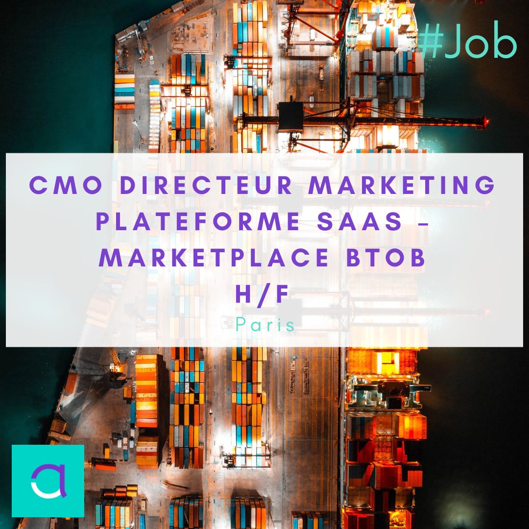 Emploi CMO Directeur Marketing
