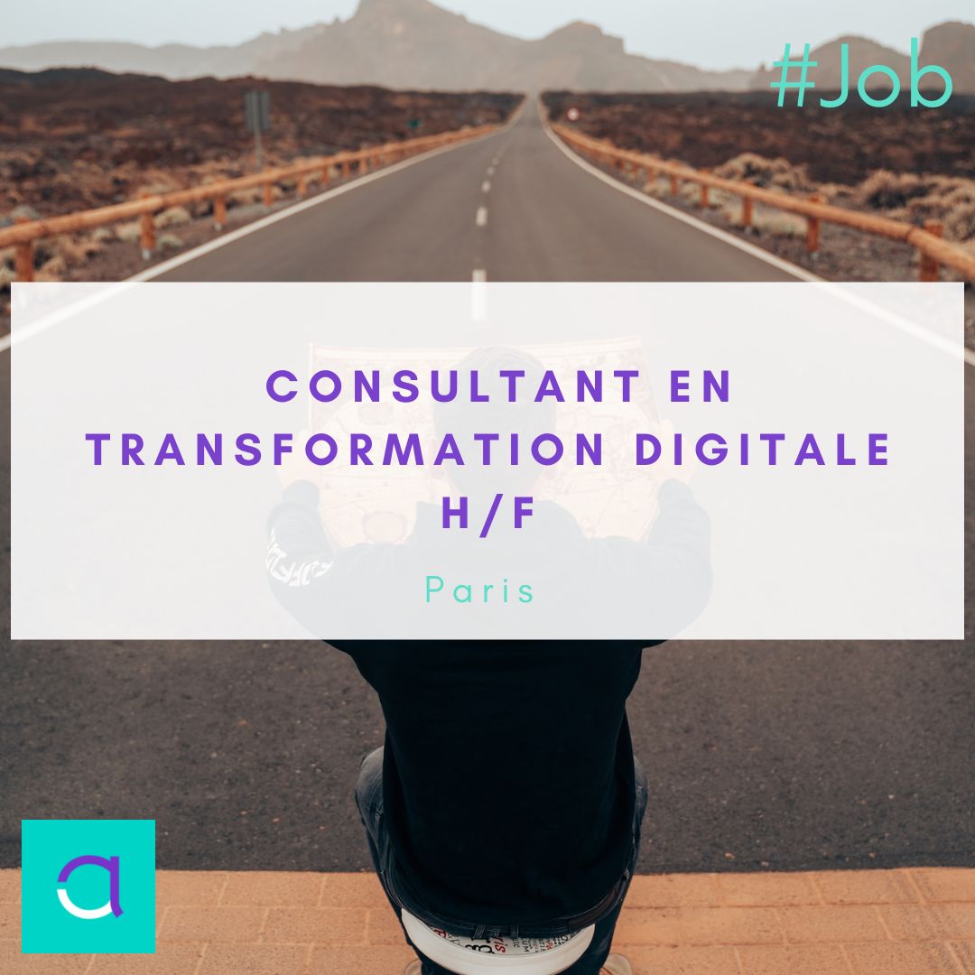 Emploi Consultant Transformation Digitale