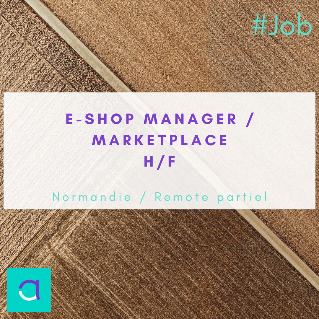 Emploi E-Shop Manager 
