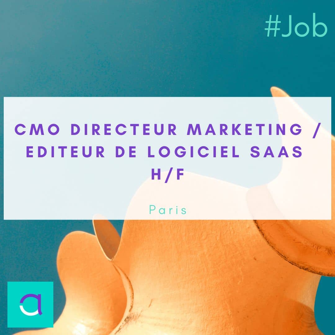 Emploi CMO Directeur Marketing 